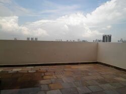 Twin Heights (D12), Apartment #576220691